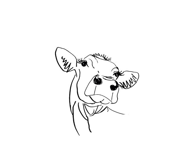 Logo-Ferienwohnungen-Hollersbach